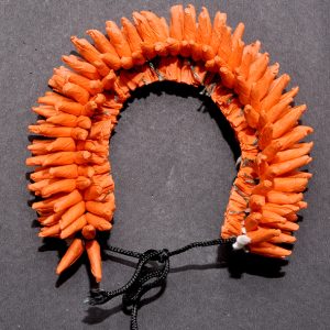 OrangeVeni-1